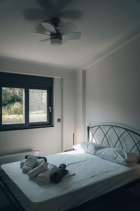 Rio Deluxe Villa Bagian luar foto